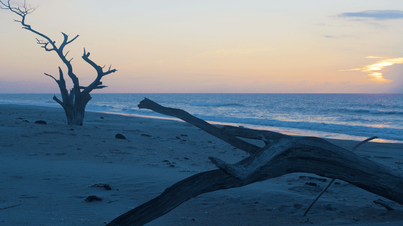 Primitive Camping Under The Stars