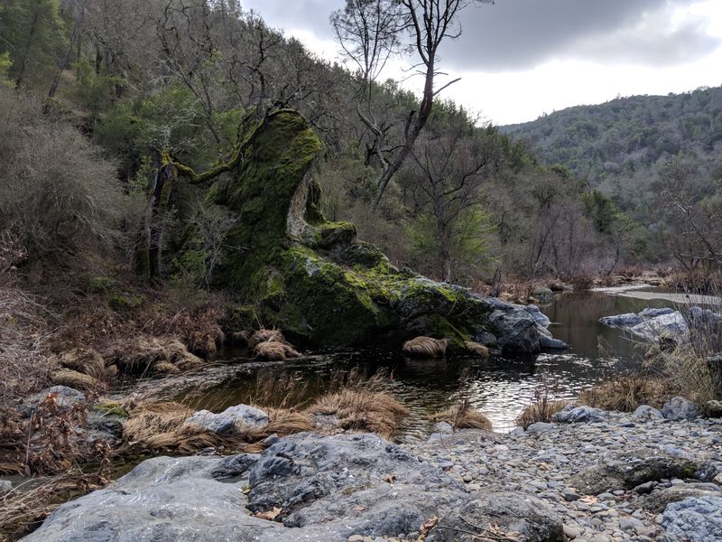 Ancient Human History Spanning Millennia