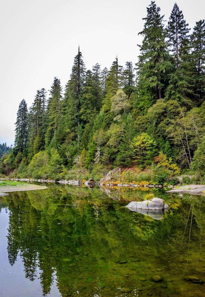 Mediterranean Climate With Significant Rainfall