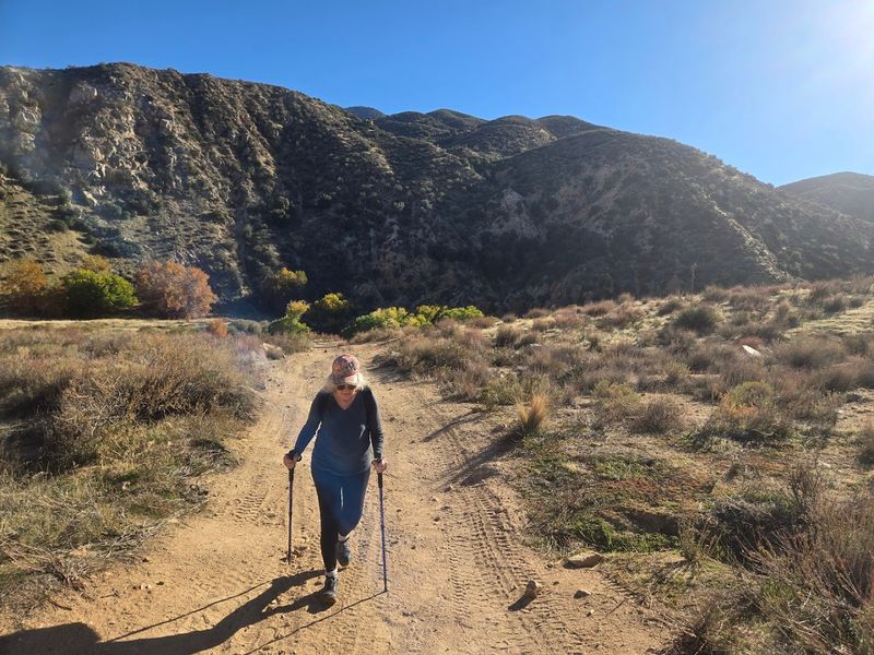 Pacific Crest Trail Crosses Through The Canyon