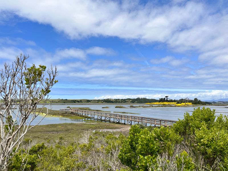 Conservation Projects Restore And Protect Habitats