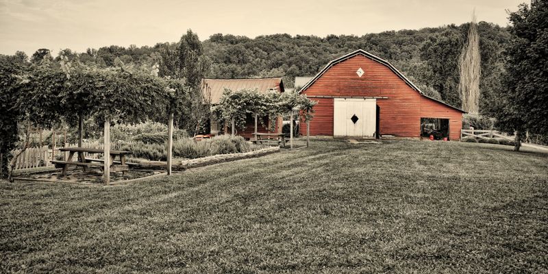This Georgia Vineyard Turns A Simple Glass Of Wine Into A Moment - Decor Hint Convenient Location In North Georgia Mountains