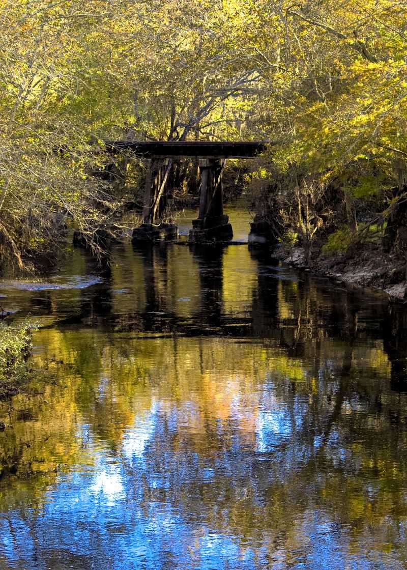 Reed Bingham State Park