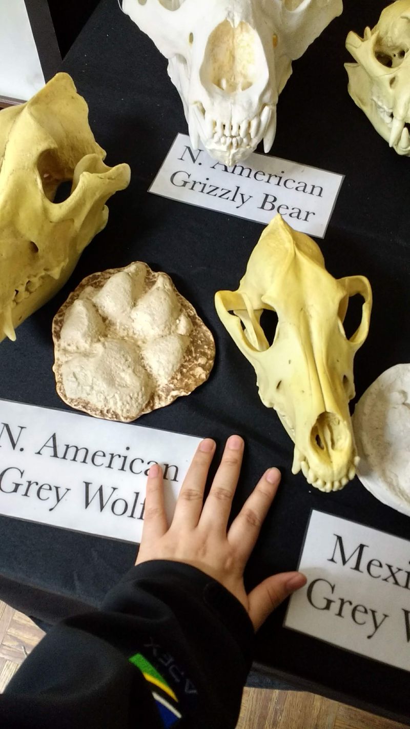 Educational Programs For All Ages