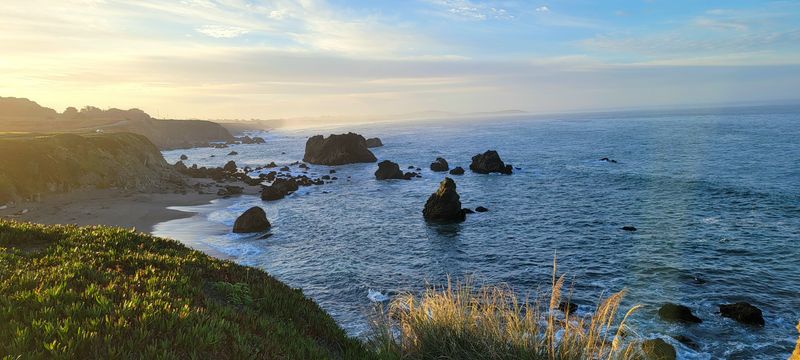 Bodega Bay's Hollywood Connection