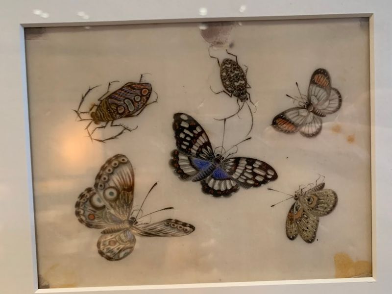 This Atlanta Georgia Museum Shows How Paper Changed Civilization With Over 10,000 Amazing Artifacts - Decor Hint Rotating Contemporary Art Exhibits Keep Every Visit Fresh