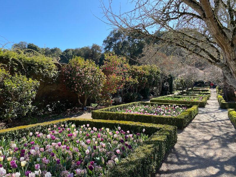 These 8 Stunning Tulip Farms In California Burst Into Color Every Spring - Decor Hint Filoli Historic House & Garden