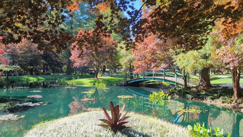 Seasonal Transformation Worth Witnessing