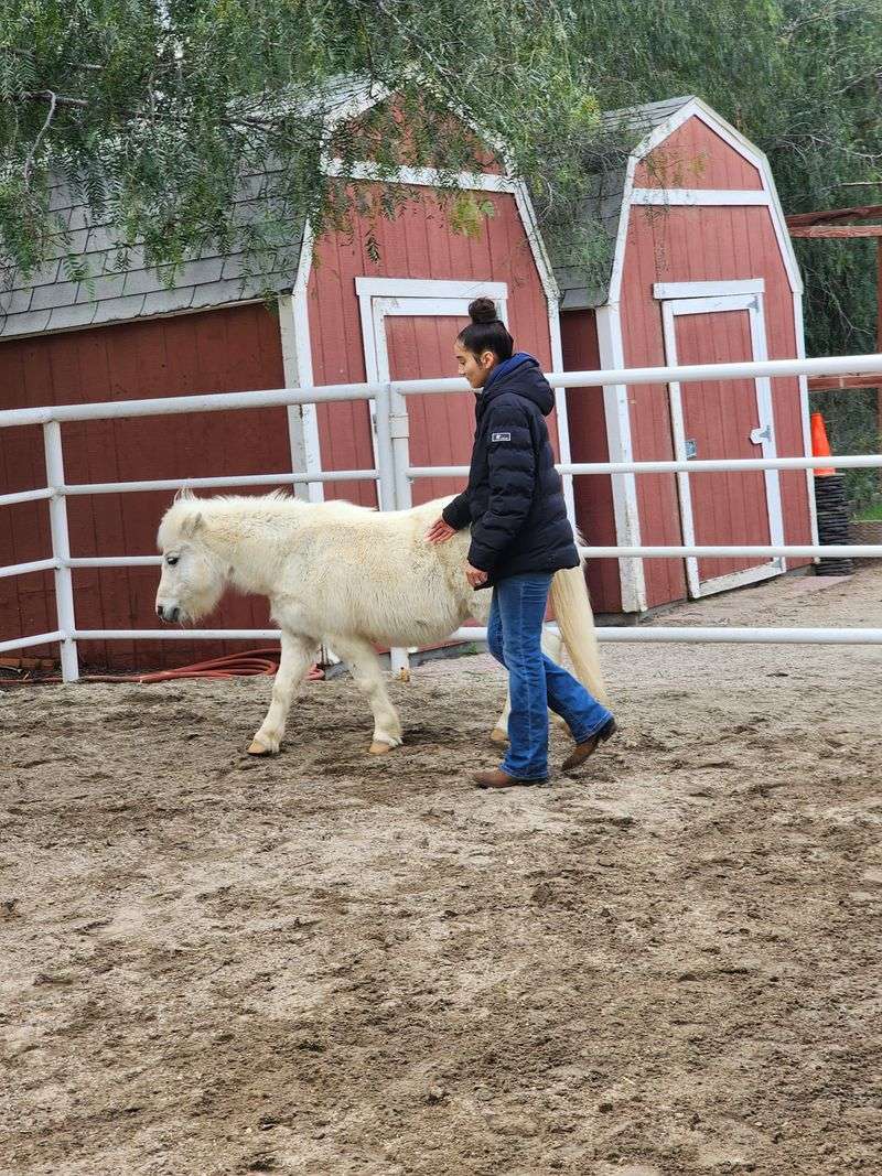 Volunteer Opportunities Support Sanctuary Operations