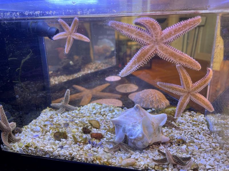 Coastal Ecosystem Exhibits