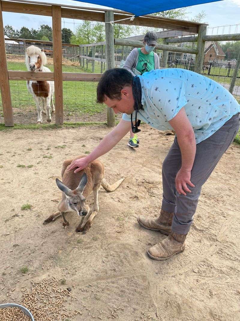 This North Carolina Sanctuary Turns Into A Summer Safari Adventure - Decor Hint Exceptional Staff Creating Memorable Personal Experiences