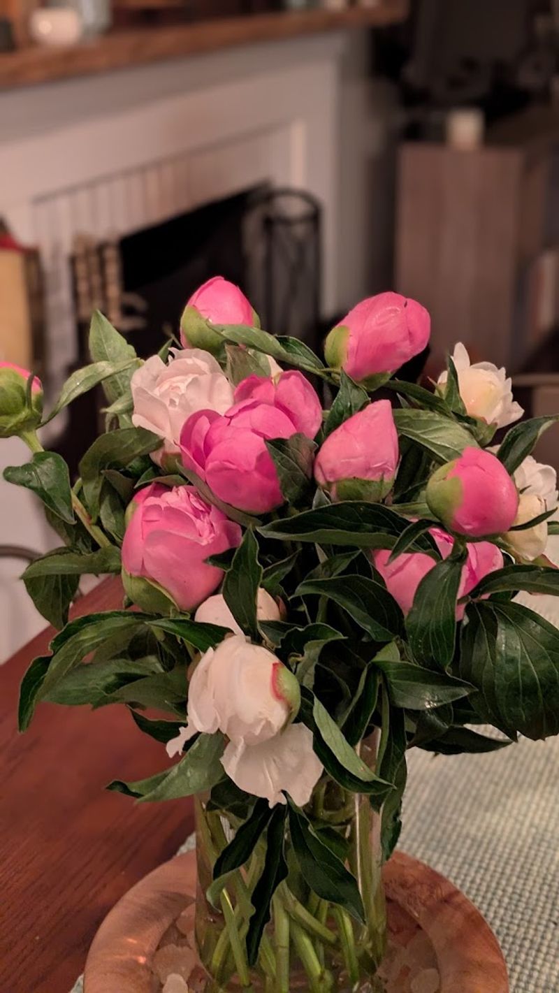 Contributing To The Local Economy