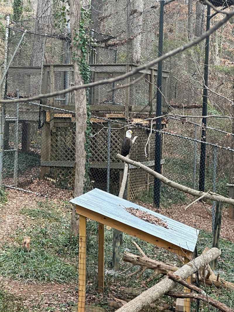 Community-Supported And Publicly Funded Conservation