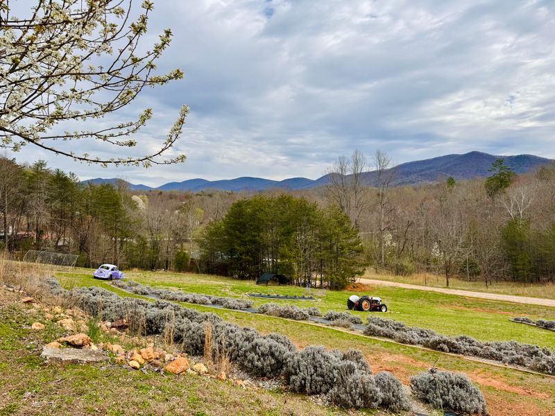 Sustainable And Eco-Friendly Practices