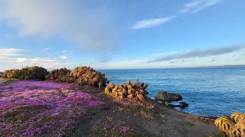 Wind And Weather Create Variable Riding Conditions
