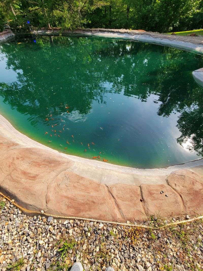 Sweetheart Pond Adds Fairytale Touch