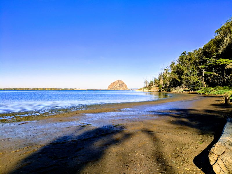 Morro Bay State Park Provides Diverse Activities