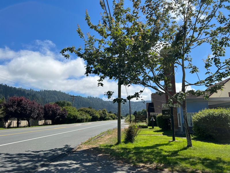 Scenic Roads That Run Through Orick