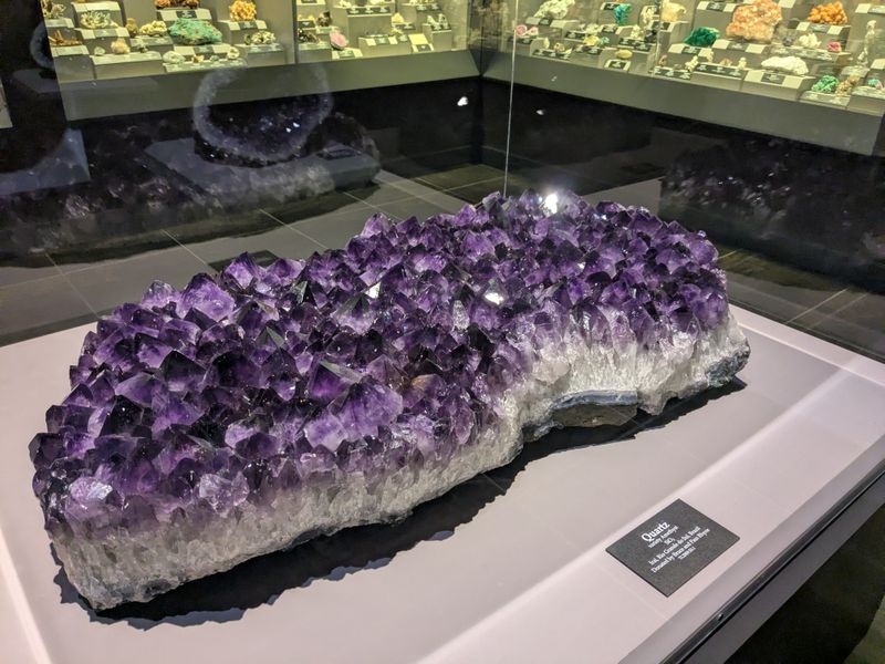 Visit the Museum Store for Educational Souvenirs