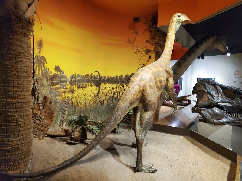 See A Real Apollo Spacecraft And A 10K Planetarium For Free At This Hidden Atlanta Georgia Gem - Decor Hint Special Temporary Exhibitions