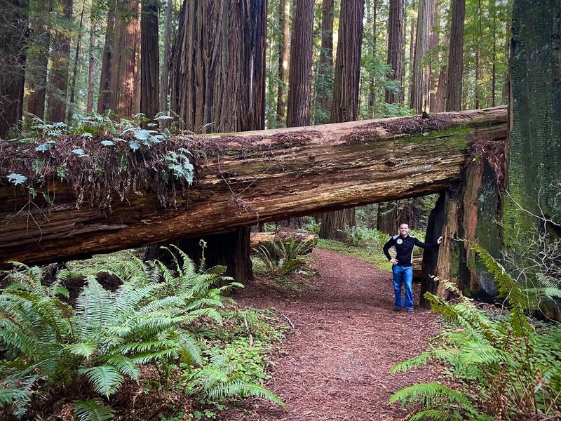 Home To The Famous Cheatham Grove