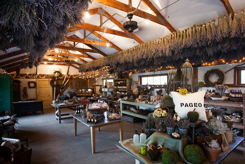 This California Lavender Farm Feels Like Heaven When It's In Full Bloom - Decor Hint Gift Shop Stocked With Handmade Lavender Products