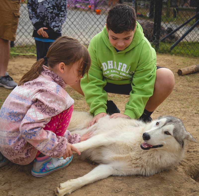 This North Carolina Sanctuary Turns Into A Summer Safari Adventure - Decor Hint Hands-On Animal Interactions Beyond Typical Zoo Boundaries