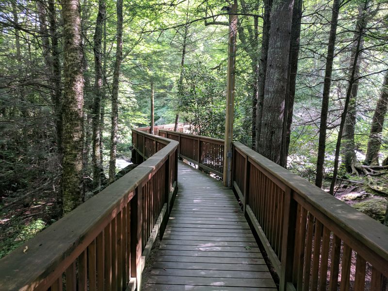This Spellbinding College In North Carolina Looks Just Like Hogwarts - Decor Hint Mountain Day Celebrates Appalachian Heritage