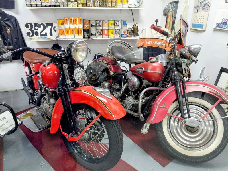 Rare Models You Won't Find In Other Collections