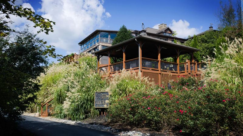 These 15 Cute Things To Do In Georgia This Month Will Make You Feel Like You're In Europe - Decor Hint Visit Dahlonega's Wine Country