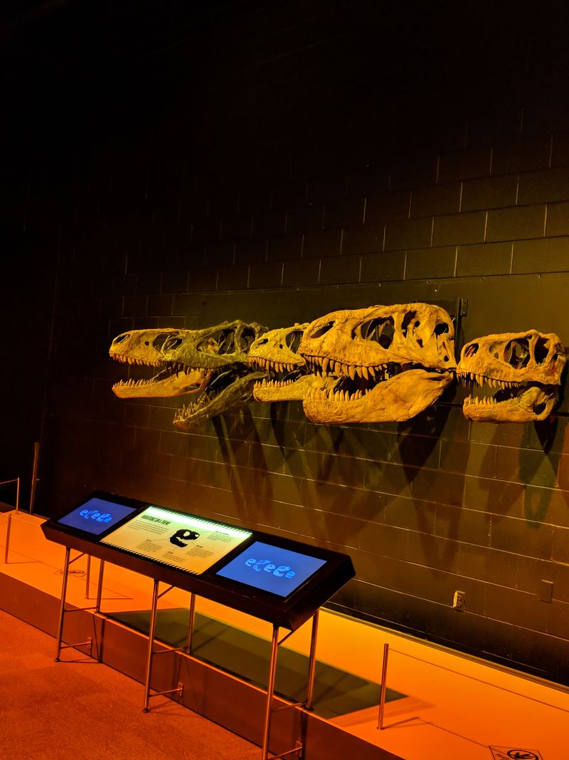 Science At The Stage Demonstrates Wonder