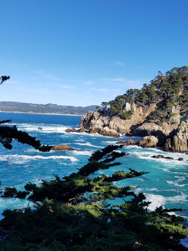 Environmental Conservation Shapes Community Decisions