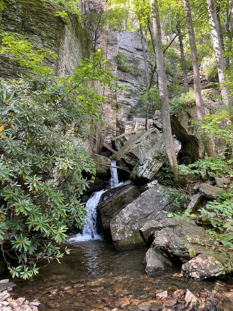 The Trail Offers Solitude That's Rare Near Atlanta