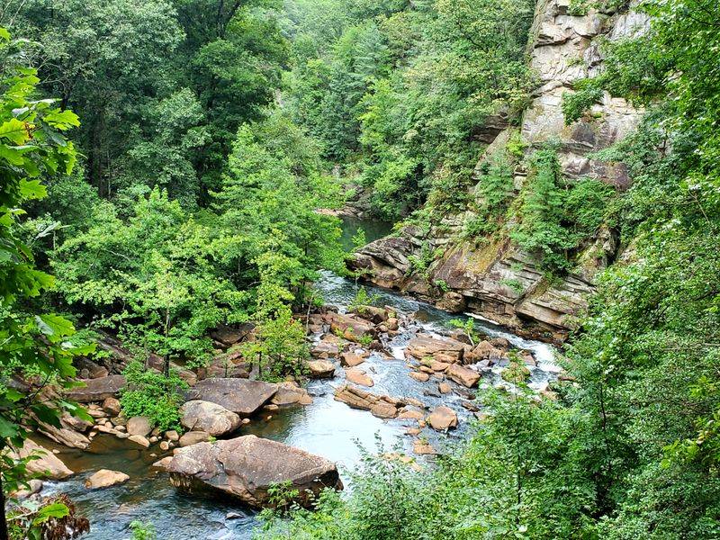 Wildlife Watching Opportunities