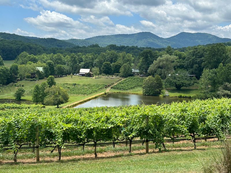 This Georgia Vineyard Turns A Simple Glass Of Wine Into A Moment - Decor Hint The Story Behind The Family-Owned Vineyard