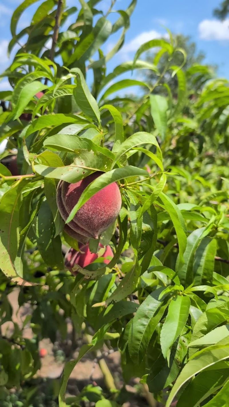 Competitive Pricing And Good Value