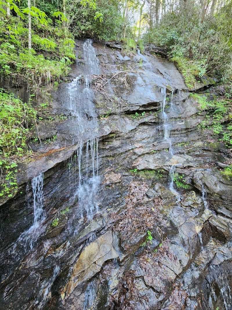 Unique Geology of the Black Rock Formation