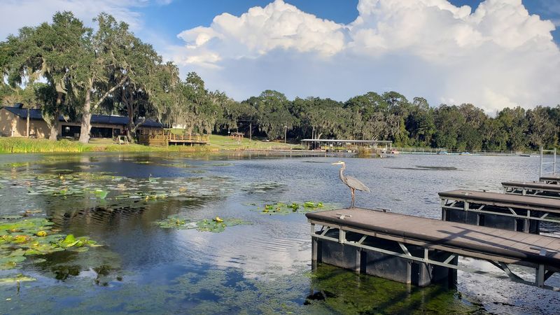 Wildlife Watching Throughout the Seasons