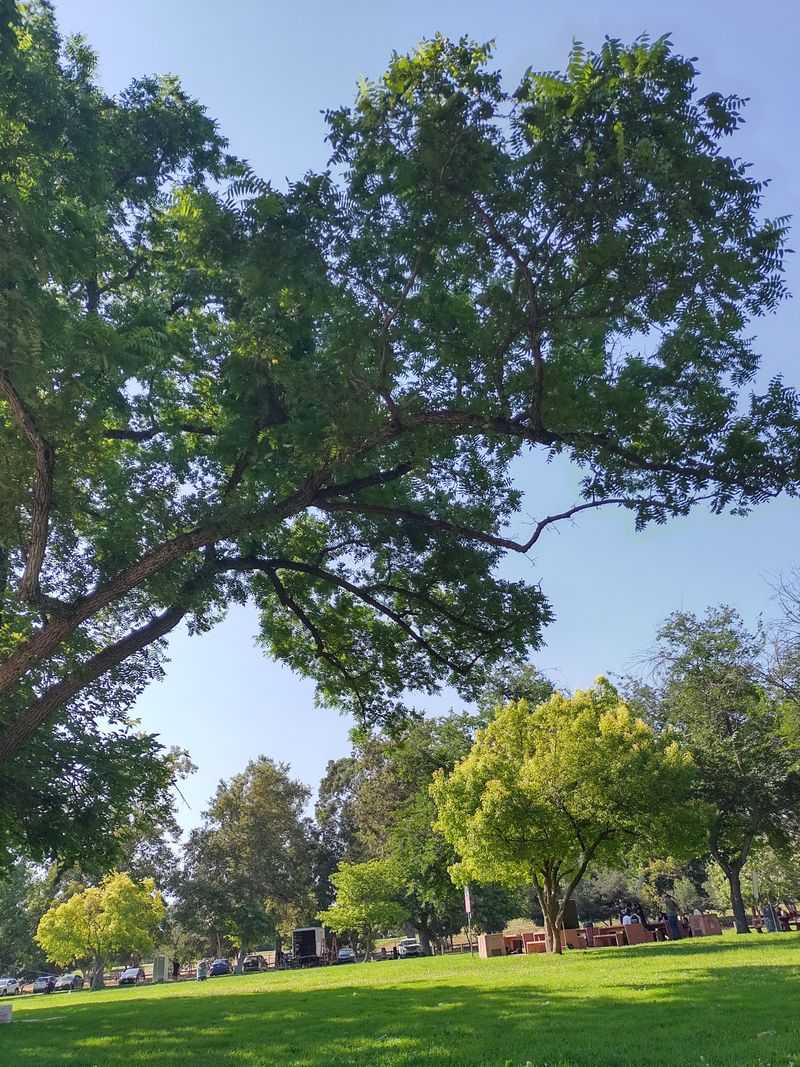 Photo-Worthy Nature Backdrops