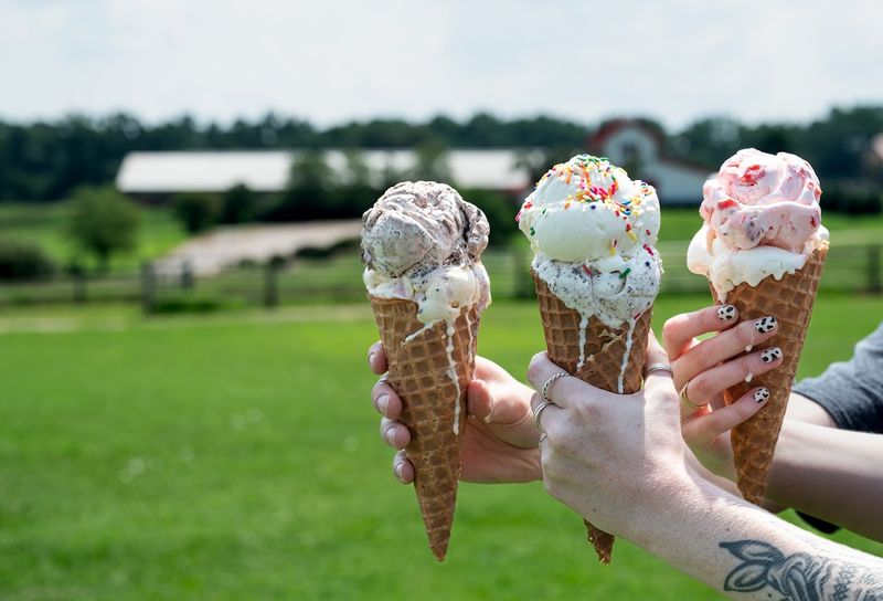 Wolf Tracks And Campfire Delight Flavors