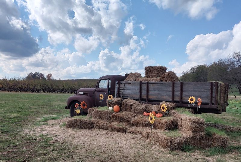 The Search for Georgia's Best Peach Ice Cream Might Just End At This Roadside Shed - Decor Hint Small-Batch Production Ensures Quality Control