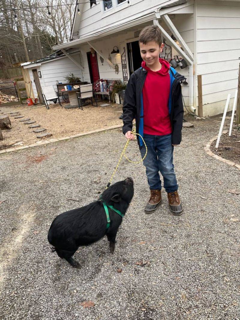 Animal-Assisted Therapy Programs