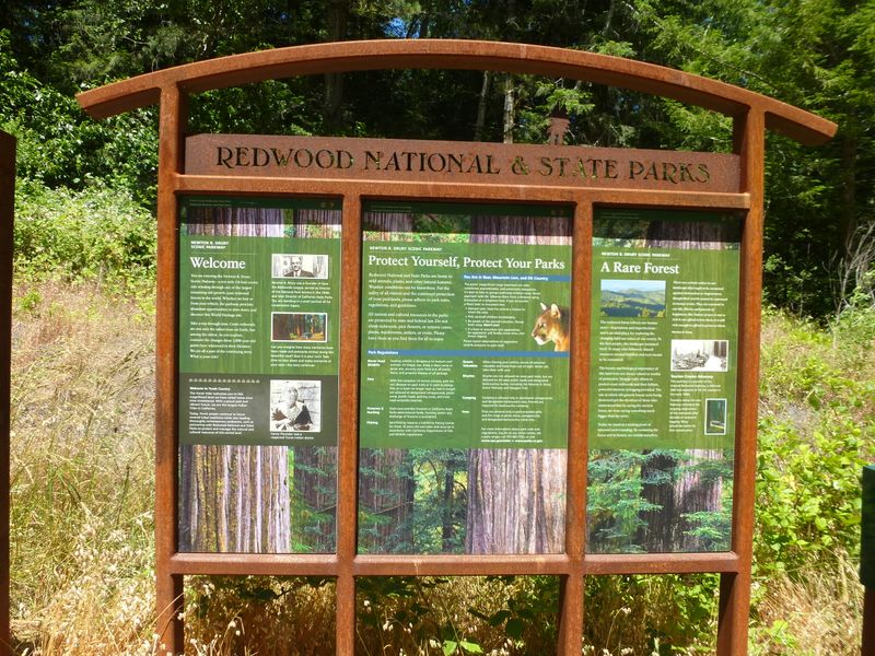 Over 260 Bird Species Finding Refuge