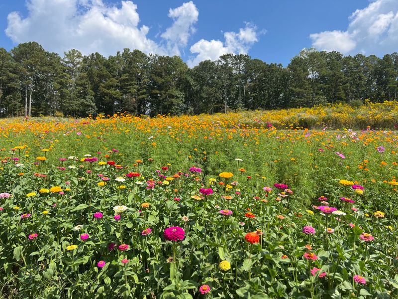 Valley Overlook Provides Breathtaking Views
