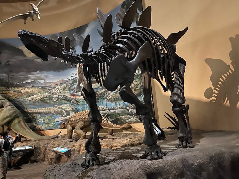 Step Into The Land Of Giants At This Incredible Atlanta Georgia Museum That Houses The World's Largest Dinosaurs - Decor Hint Giant Screen Theater