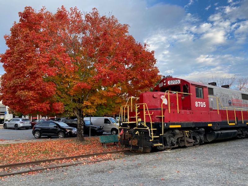This Historic Train Ride The Blue Ridge Scenic Railway Georgia Is A 2026 Must-Do - Decor Hint Thoughtful Accessibility Features for All Guests