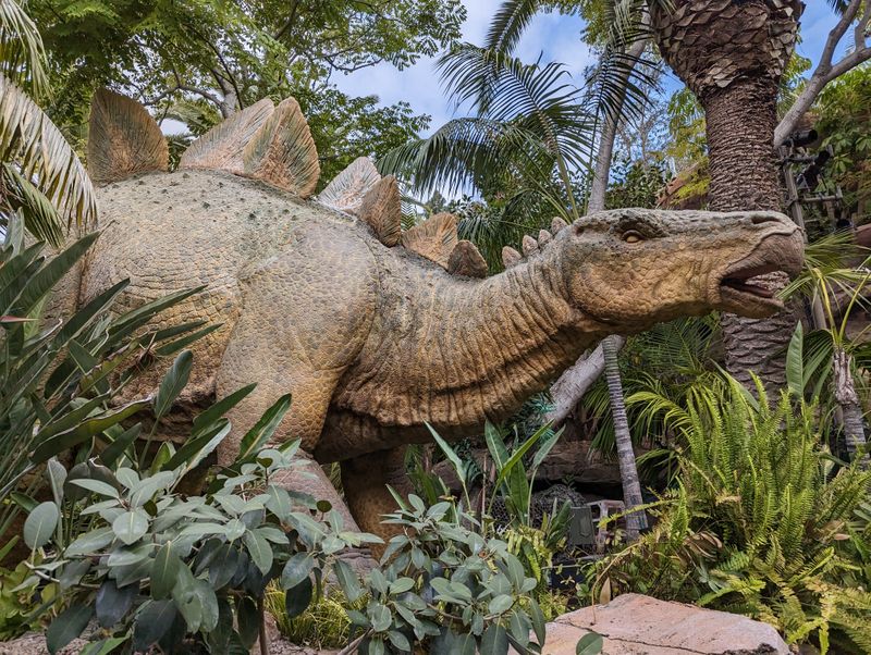 Queue Experience Builds Anticipation Gradually