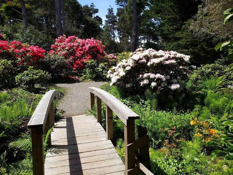 22 Places In Northern California That Feel Especially Rewarding To Visit In Spring - Decor Hint Mendocino Coast Botanical Gardens