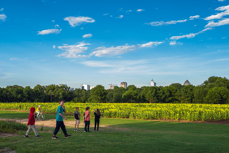 Free Admission Makes Beauty Accessible
