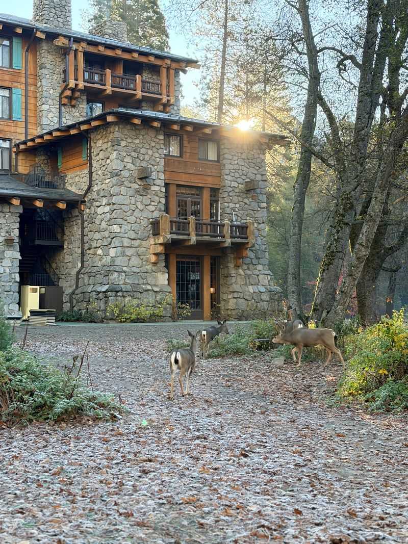 Reservations Essential For This Popular Destination